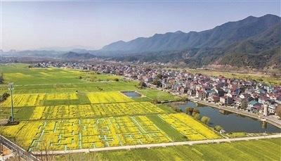 临时用地的审批重在程序正当合法