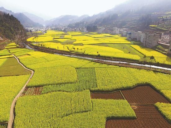 拆除违法建筑应遵循的程序