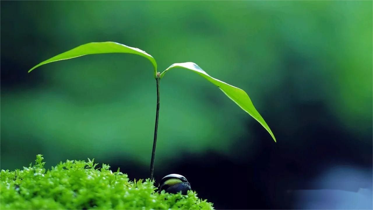 选房公告不可诉