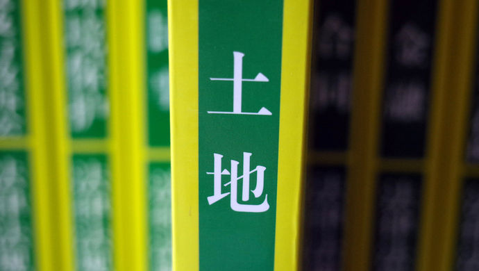 农村集体土地所有权主体代表