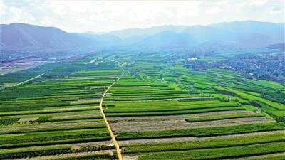 行政复议的范围