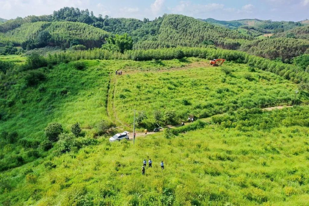 谁来委托房地产价格评估机构开展房屋价值评估工作