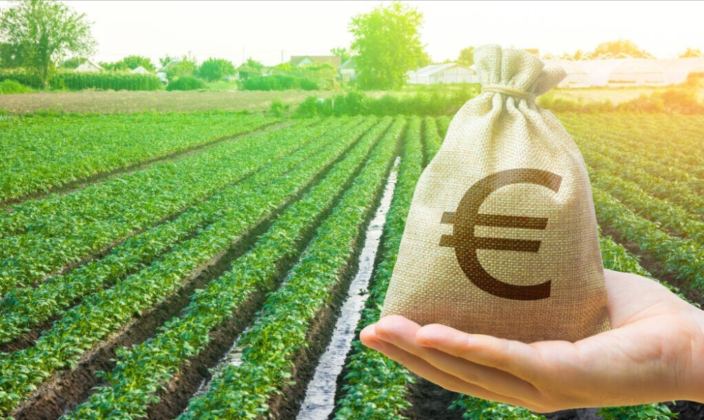 房屋征收补偿协议中的格式条款对被征收人不利的，怎么处理