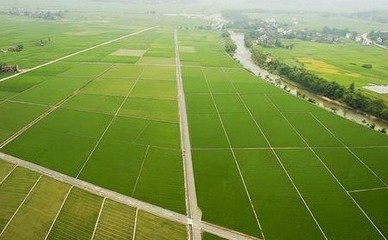 行政复议的基本原则