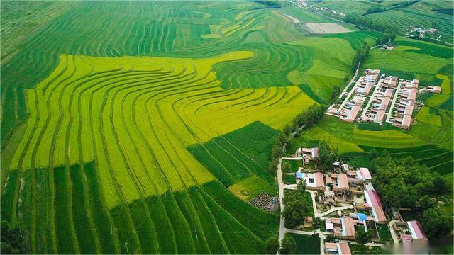 林地经营权、林木所有权和使用权流转